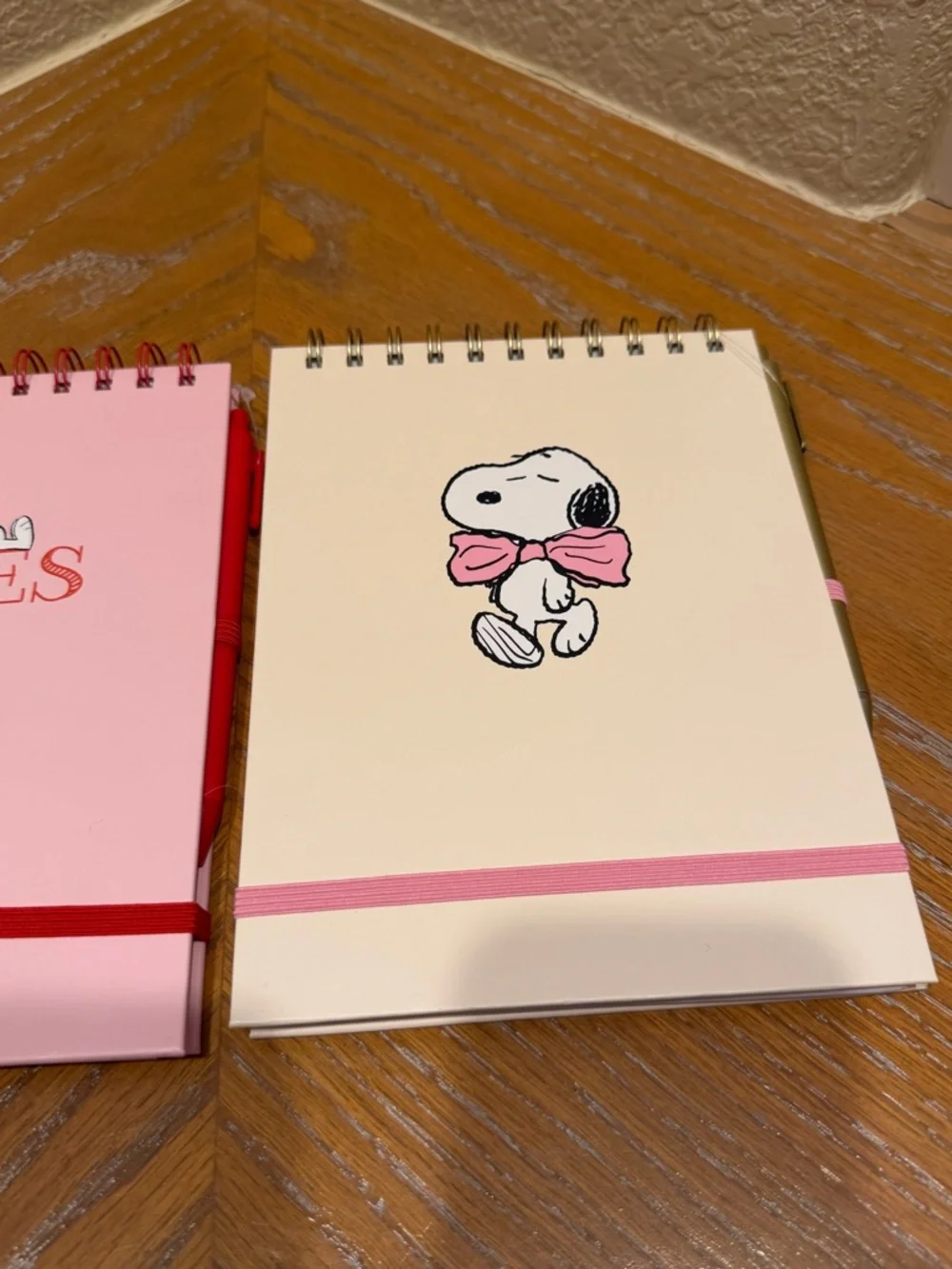 NEW Snoopy Spiral Notebooks Set